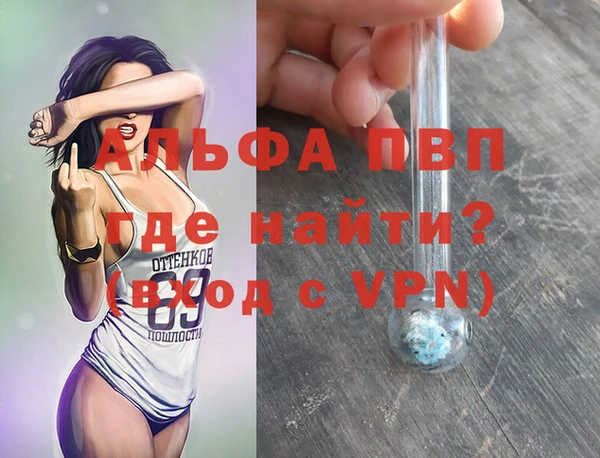 spice Гусев