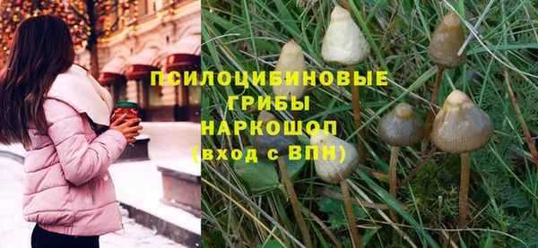 первитин Гусь-Хрустальный