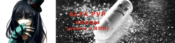spice Гусев