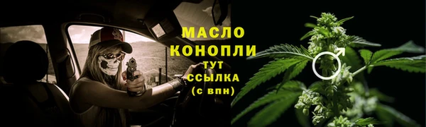 spice Гусев