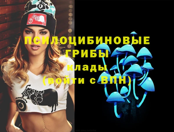 прущие грибы Горнозаводск