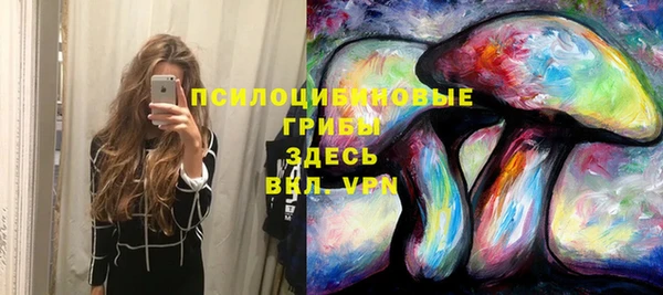 СК Горняк