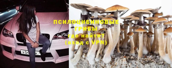 первитин Гусь-Хрустальный