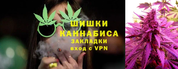 spice Гусев